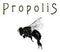 Propolis Brewing Spruce 750ml