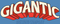 Gigantic The Business 22oz