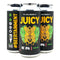 FULL CIRCLE BREWING JUICY NE IPA 16oz can