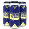 NORTH PARK BEER CO. 2020 IS OVER! DDH HAZY DIPA 16oz can