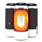 BOTTLE LOGIC PERIHELION STRAWBERRY HELLES LAGER 16oz can