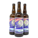 JOLLY PUMPKIN GAMMA DELUXE OAK AGED SOUR 750ml Bottle