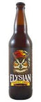 Elysian Brewing Night Owl Pumpkin Beer 22oz