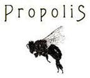 Propolis Brewing Wyrt 750ml